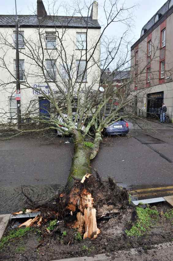 Storm insurance claims Ireland