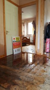 Water Damage Claims Assessor