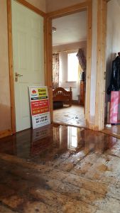 Water Damage loss assessors